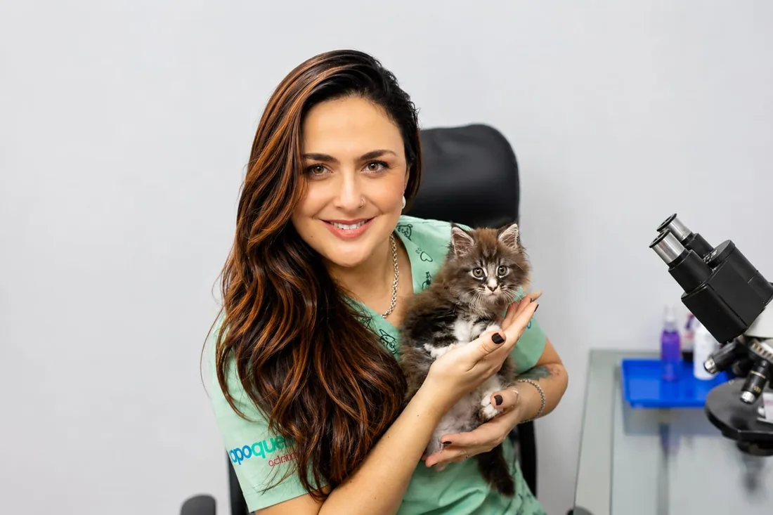 Dra. Jaqueline Elen Brino com paciente felino em atendimento